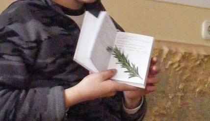 soma napló vágott.jpg